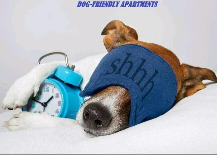 Lejlighed Kuca Za Odmor Lucy Pula